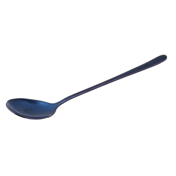 Clio stainless steel table spoon