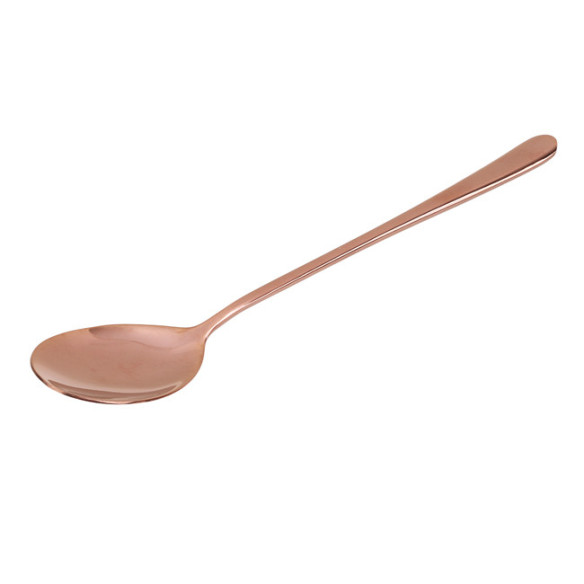 Clio stainless steel table spoon