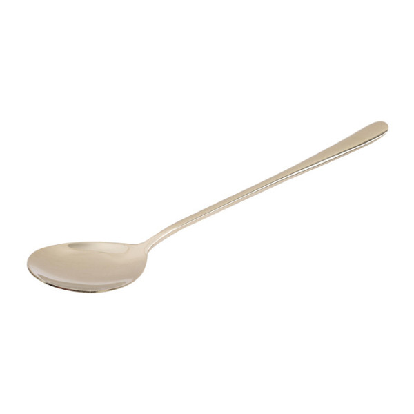 Clio stainless steel table spoon